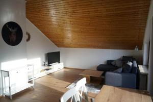 a living room with a blue couch and a wooden ceiling at FeWo Horb Am Neckar in Horb am Neckar