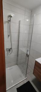 a shower with a glass door in a bathroom at Mala hiša in Solčava