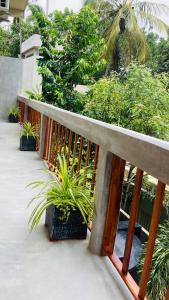 a balcony with plants and a wooden fence at Ayubowan Hiriketiya in Dickwella