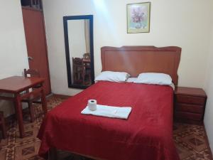 um quarto com uma cama com um cobertor vermelho e um espelho em HOSPEDAJE BUENA VISTA em Ayacucho