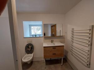 a bathroom with a sink and a toilet and a window at Gite de Moulin Maurt in Xertigny