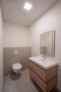 een badkamer met een toilet, een wastafel en een spiegel bij Tähtitaivas in Jämsä