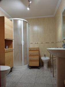 y baño con ducha, lavabo y aseo. en Acogedor Apartamento Céntrico en La Puebla de Valverde