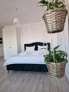 Postel nebo postele na pokoji v ubytování Green Apartment Iasi