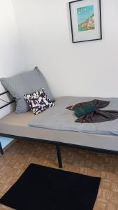 a couch with pillows on it in a living room at Stellas Monteurwohnungen in Crimmitschau