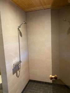 a shower in a bathroom with a tile wall at Merineitsi metsamaja in Tahkuna