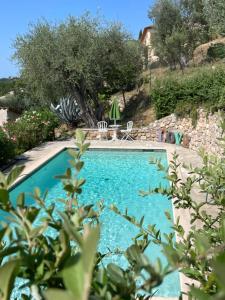 a swimming pool in a resort with chairs and trees at Villa Daphné in Spéracèdes