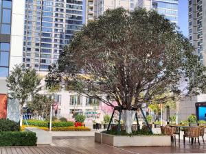 a tree in the middle of a city with tall buildings at Panda ZuoKe Besucher Apartment 熊猫坐客民宿 in Kunming