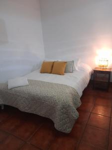 1 cama con 2 almohadas en una habitación en Claustro Home Casco Histórico Córdoba, en Córdoba