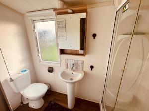 a small bathroom with a toilet and a sink at Ferienhaus Bordeaux Neuenpleen in Neuenpleen