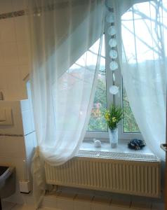 a window with a white curtain and a plant in it at Gemütliche Dachgeschosswohnung in Melle