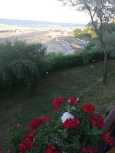 uma vista para uma praia com flores vermelhas em Emyra's holiday rooms em Constança