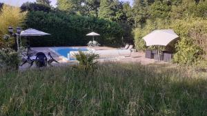 a pool with two umbrellas in a field of grass at Le Chateau de Prauthoy in Prauthoy