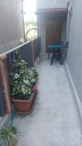 eine Terrasse mit einem Tisch und Topfpflanzen auf dem Balkon in der Unterkunft Guest House Lakada in Kutaissi