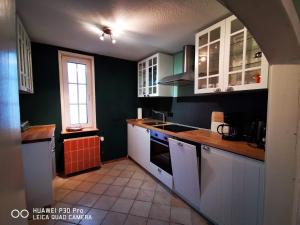 a kitchen with green walls and white cabinets at Ferienhaus Rennsteig-Wander-Mountainbike und Langlaufparadies in Friedrichshöhe