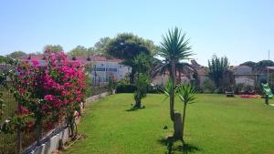 A garden outside Zoi Apartments