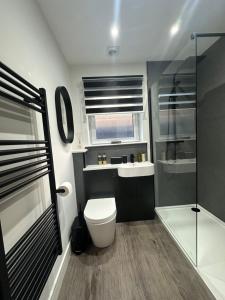 a bathroom with a toilet and a sink and a shower at Burnbrae Apartment in Portree