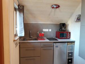 una piccola cucina con lavandino e forno a microonde di Le petit chalet jurassien a Jouhe