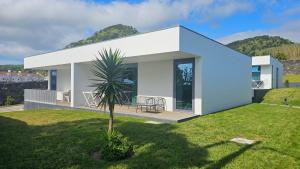 una casa blanca con una palmera en un patio en Galé T3 en Caloura