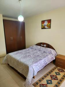1 dormitorio con 1 cama, armario y alfombra en Lucky's apartment, a place to be, en Pogradec