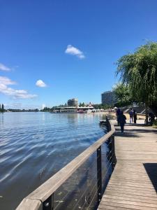 a wooden boardwalk next to a body of water at Sainte Cécile 9 - Studio Pop entre sol in Vichy