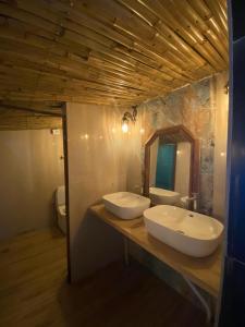 Himalayan Hideaway-TVM في مانالي: حمام مغسلتين ومرآة