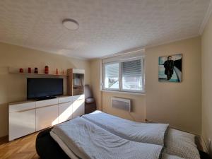 a bedroom with a bed and a flat screen tv at Apartman Ćurčić in Vrdnik