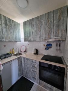 cocina con armarios de madera, fregadero y fogones en Apartman Ćurčić, en Vrdnik