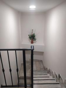 un escalier avec une plante dans un vase sur le mur dans l'établissement Estudios Playa De Cóbreces, à Cóbreces