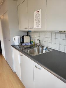 uma cozinha com um lavatório e uma bancada em Interlaken Apartments em Interlaken