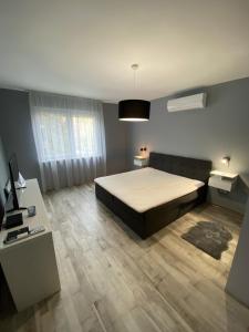 ein Schlafzimmer mit einem Bett, einem Sofa und einem Tisch in der Unterkunft Janka11 Apartman in Hódmezővásárhely