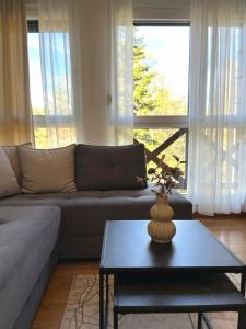 Zona d'estar a Apartman Lara - Divčigora