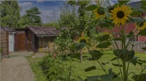 um jardim com uma casa com um girassol em Ferienwohnungen Wald und Wasser Fam.Schurat em Feldberg