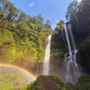 a rainbow in front of a waterfall in a forest at Sugi Gede Homestay in Singaraja