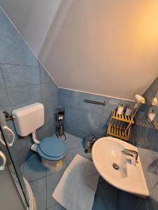 a bathroom with a blue toilet and a sink at Guest House Matej & Mateja in Plitvička Jezera +25 photos
