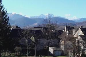 een groep huizen met bergen op de achtergrond bij Appart 2 pers, la montagne en ville, avec garage in Oloron-Sainte-Marie