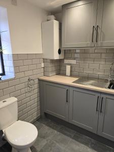 a bathroom with a toilet and a sink at Ole Butt Cottage in Cinderford