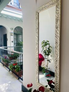 a large mirror in a hallway with plants at La Gitanilla Alojamiento & Encanto Jerez in Jerez de la Frontera