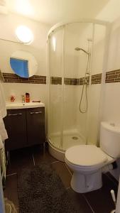 a bathroom with a shower and a toilet and a sink at Studio Hypercentre Fontainebleau , Proche Château in Fontainebleau