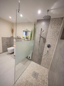 ein Bad mit einer Dusche und einem WC in der Unterkunft Ferienwohnung *Traumschleife Marienberg* in Boppard
