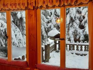 een raam met uitzicht op een met sneeuw bedekte boom bij Waldhütte Allzunah in Ilmenau