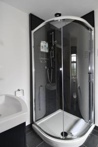 a glass shower in a bathroom next to a sink at The Rocks B&B in Crumlin