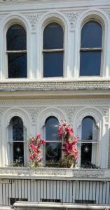 a white building with two windows with flowers on it at Ferienwohnung in einer Villa mit herrlichem Garten und Katze in Sydenham