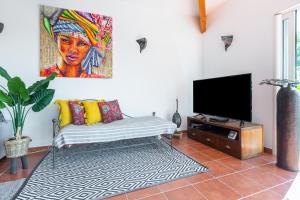ein Wohnzimmer mit einem Sofa und einem TV in der Unterkunft La villa du Moulin Castin in Castin