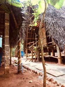 un petit arbre devant une cabane dans l'établissement Bamboohutz, à Auroville