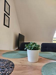 TV a/nebo společenská místnost v ubytování Horský apartmán MIKI