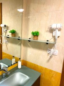 uma casa de banho com um lavatório e um espelho com duas plantas em Apartamentos Parke24 - San Sebastian em Errenteria