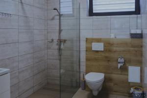 a bathroom with a shower and a toilet at Kompleks Tawerna Vito - Apartamenty Vito in Czorsztyn