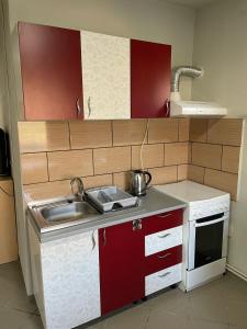 a small kitchen with a sink and a stove at Grande in Mediaş