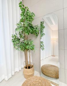 a large plant in a room with a mirror at Ari Home - Free parking, 15mins to Cheonan Station, 20mins Sejong Emerson, 25mins to Woojeong Hills in Cheonan